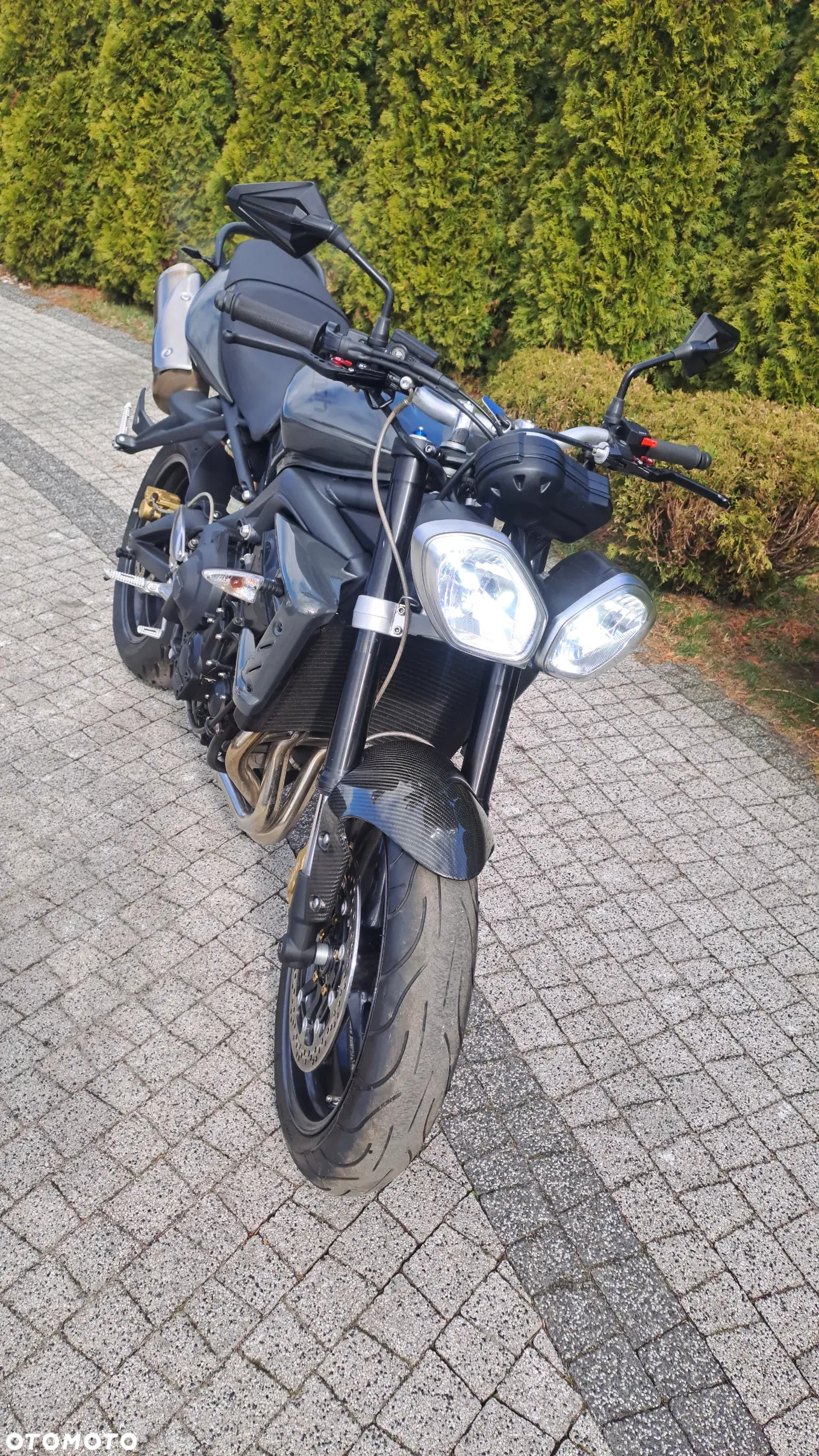Triumph Speed Triple - 36