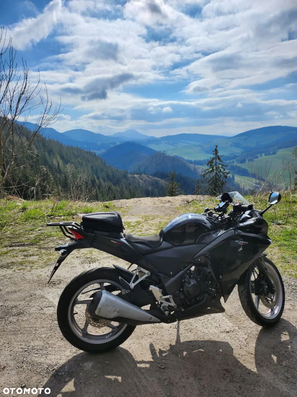 Honda CBR - 13