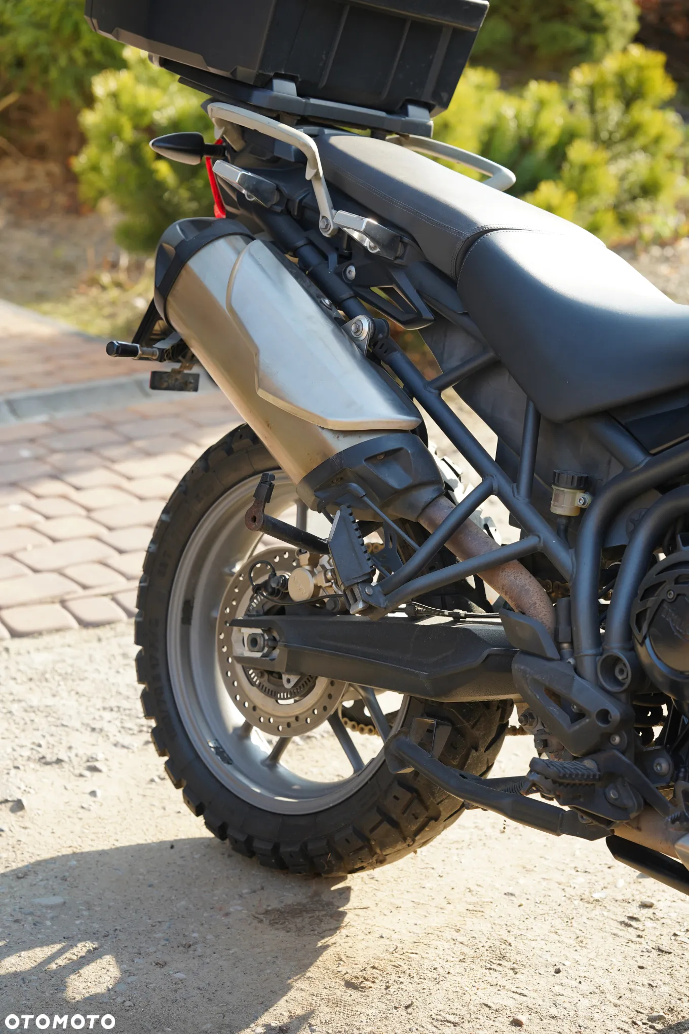 Triumph Tiger - 16