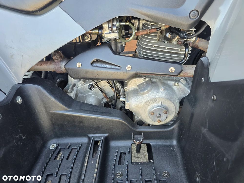 Polaris Phoenix - 22