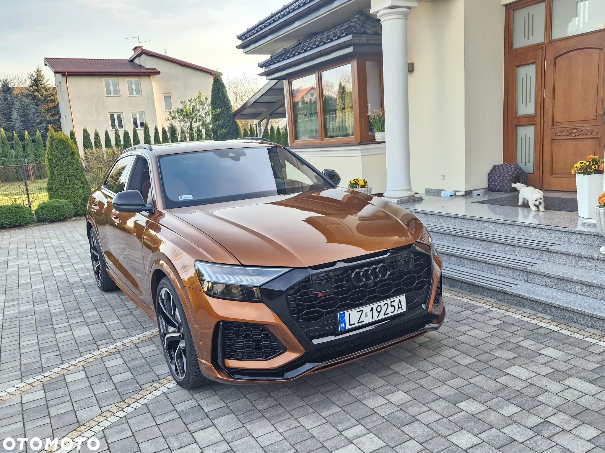 Audi RS Q8 - 1