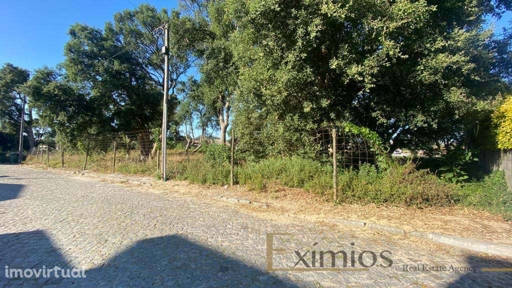 Terreno para construção em Árvore - Grande imagem: 3/4