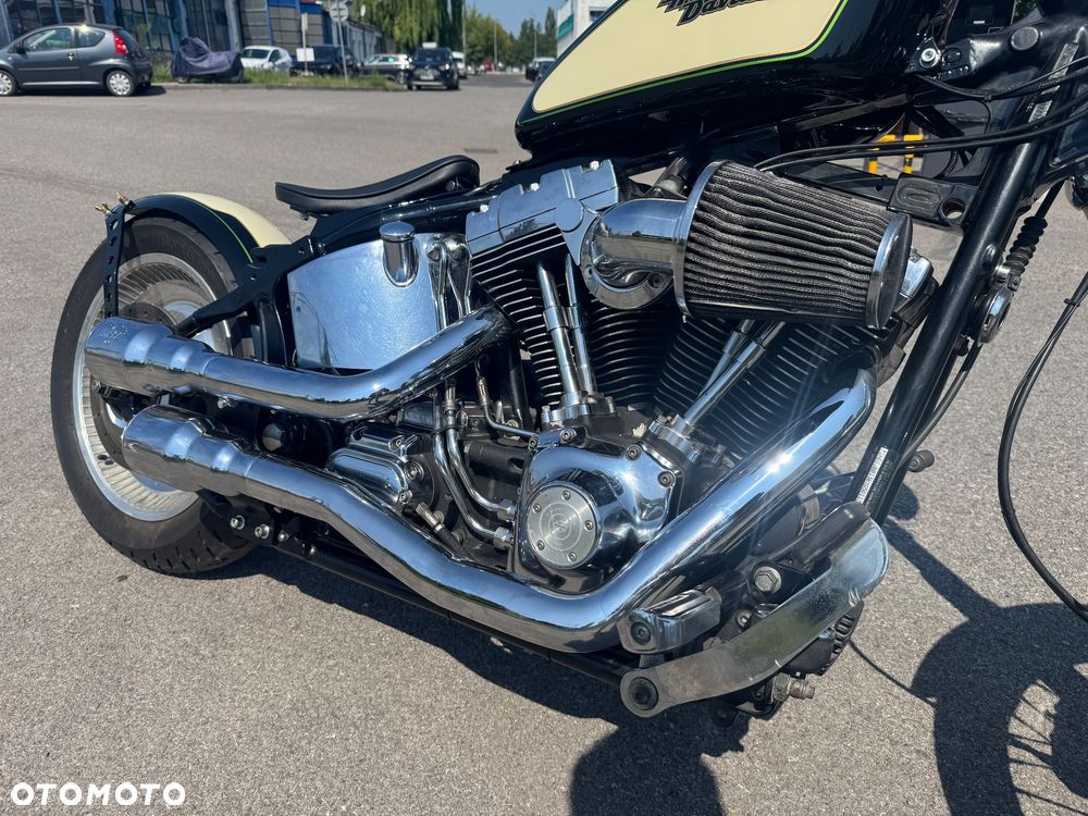 Harley-Davidson Softail - 5