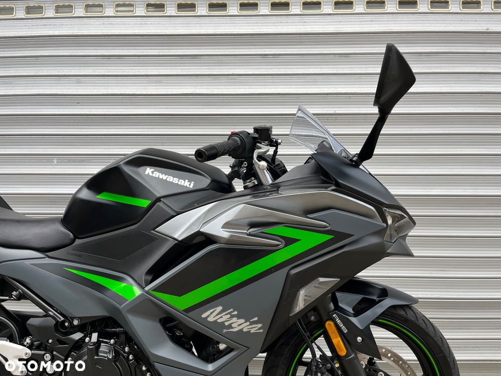 Kawasaki Ninja - 29