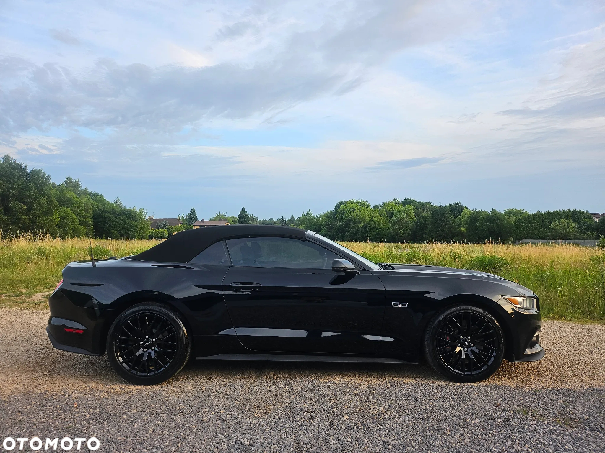 Ford Mustang - 9