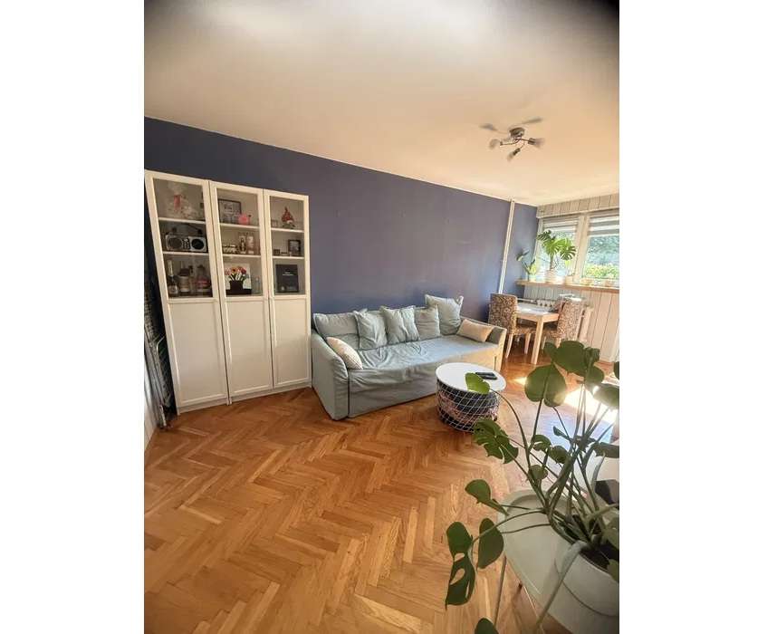 3-room apartment of 45 m²