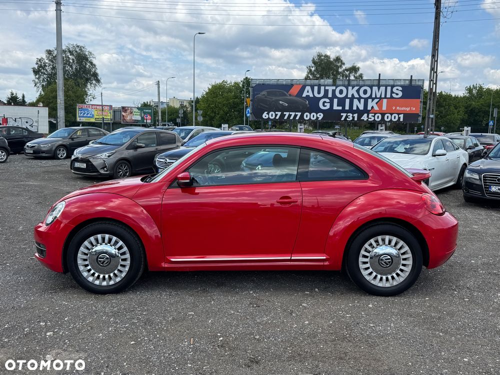Volkswagen Beetle - 16