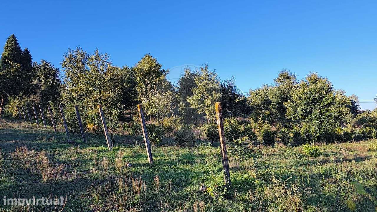 Terreno  para venda - Grande imagem: 4/11