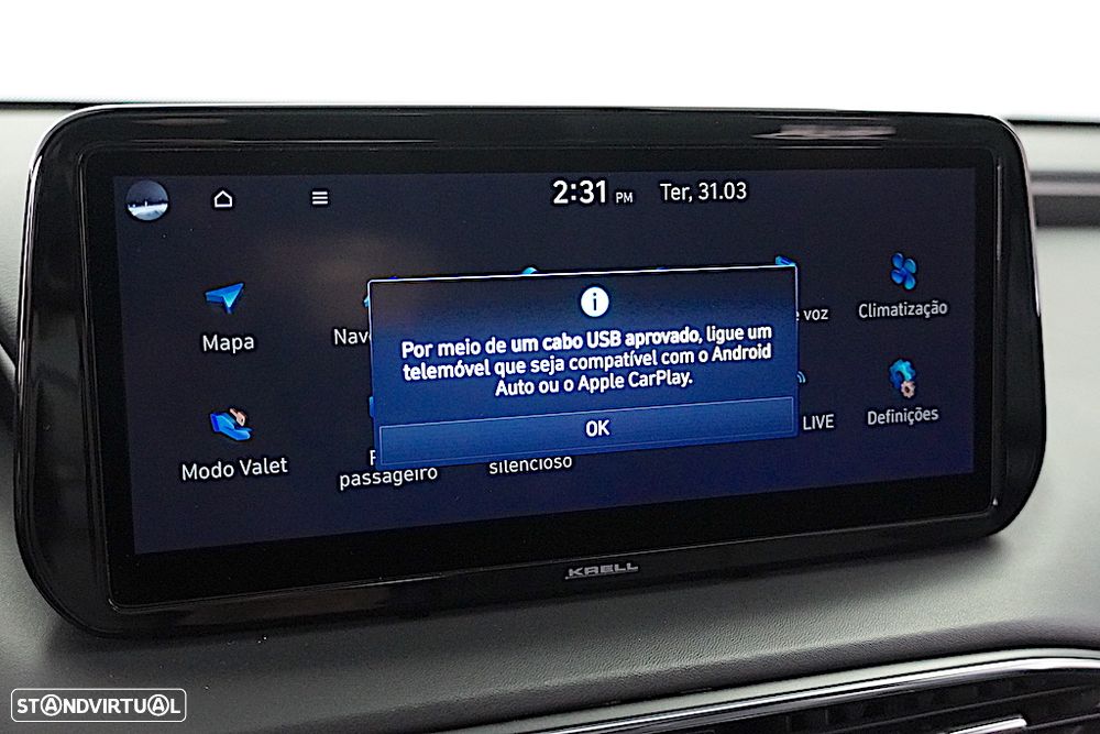 Hyundai Santa Fe 2.2 CRDi Premium Aut. - 43