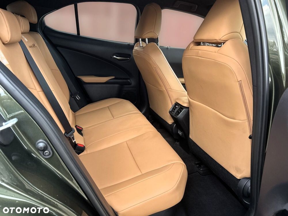 Lexus UX 250h GPF F Sport Design+ 2WD - 16