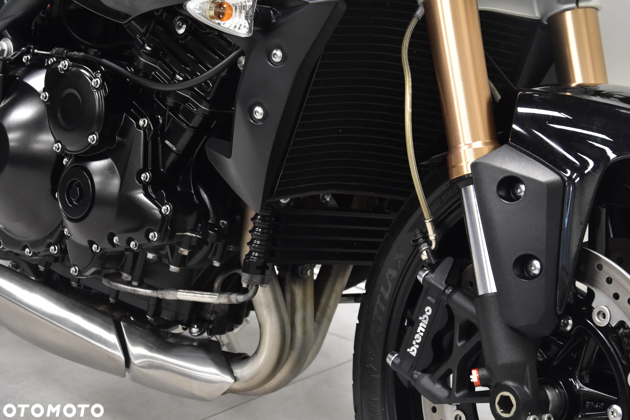 Triumph Speed Triple - 30