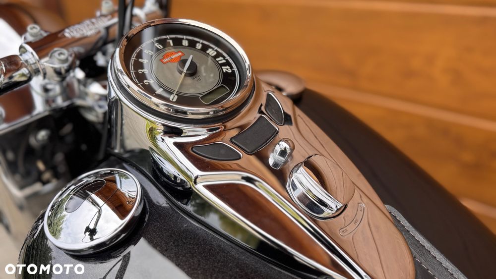 Harley-Davidson Softail Heritage Classic - 21