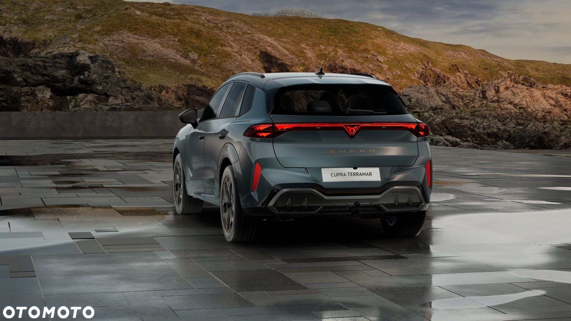 Cupra Terramar - 4