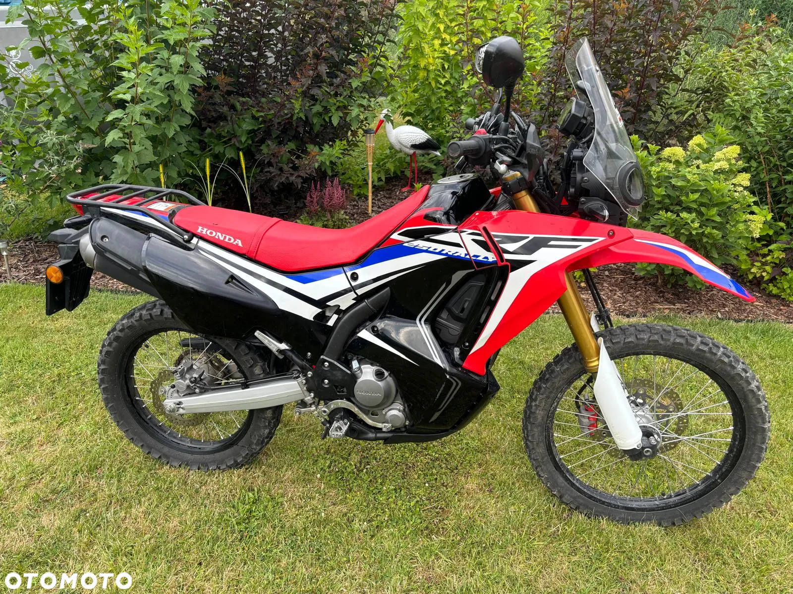 Honda CRF - 3