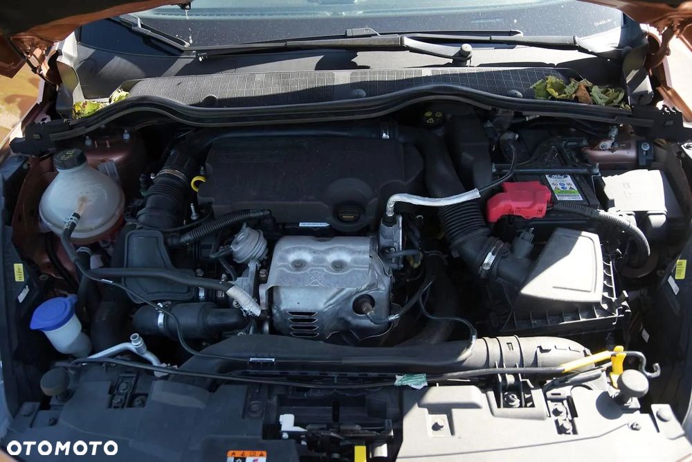 Ford Fiesta - 38