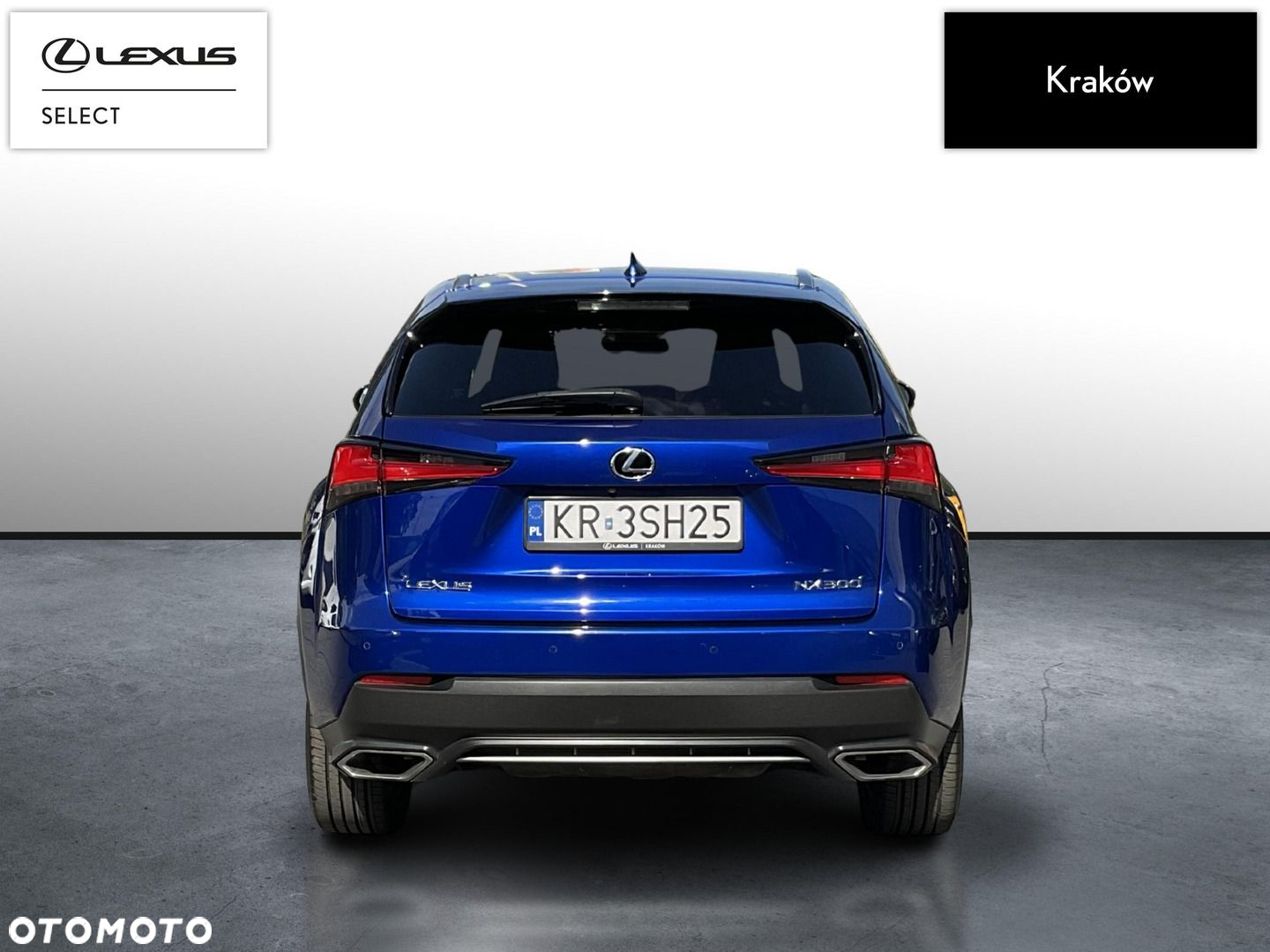 Lexus NX 300 F Sport AWD - 4