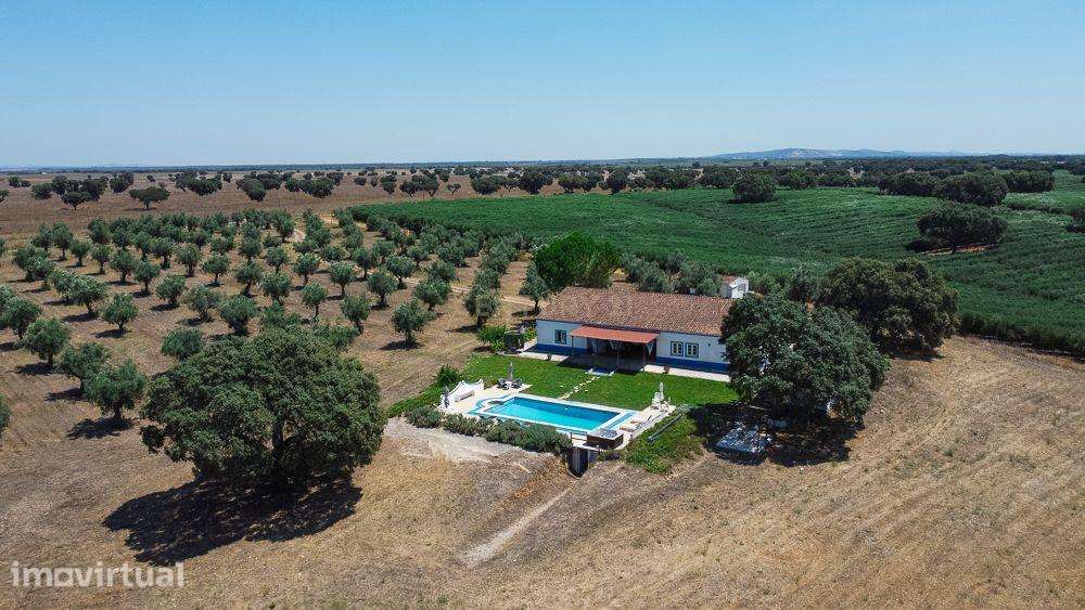 Quinta no Monte da Amendonça - 5 quartos, num lote de 4 hectares no Al - Grande imagem: 3/33