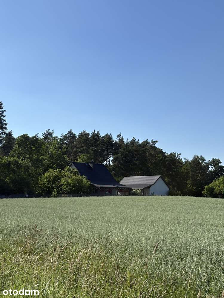 Dom pod lasem, nad stawem, bez sąsiedztwa