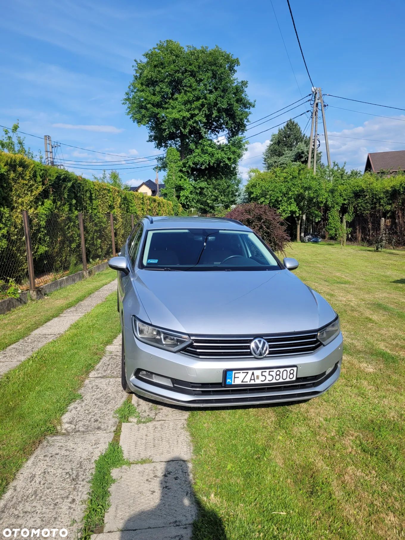 Volkswagen Passat - 1
