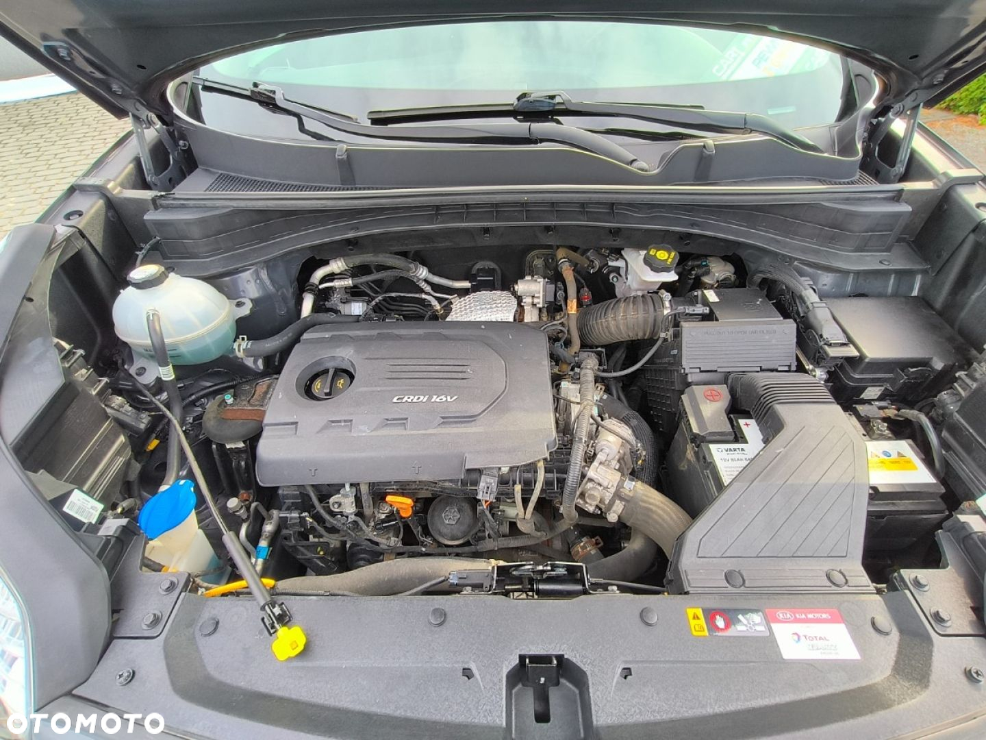 Kia Sportage - 18
