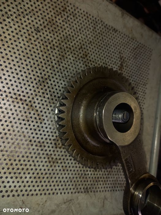 Koło zębate pośrednie głowicy LT 46 2.8 tdi  AUH - 2
