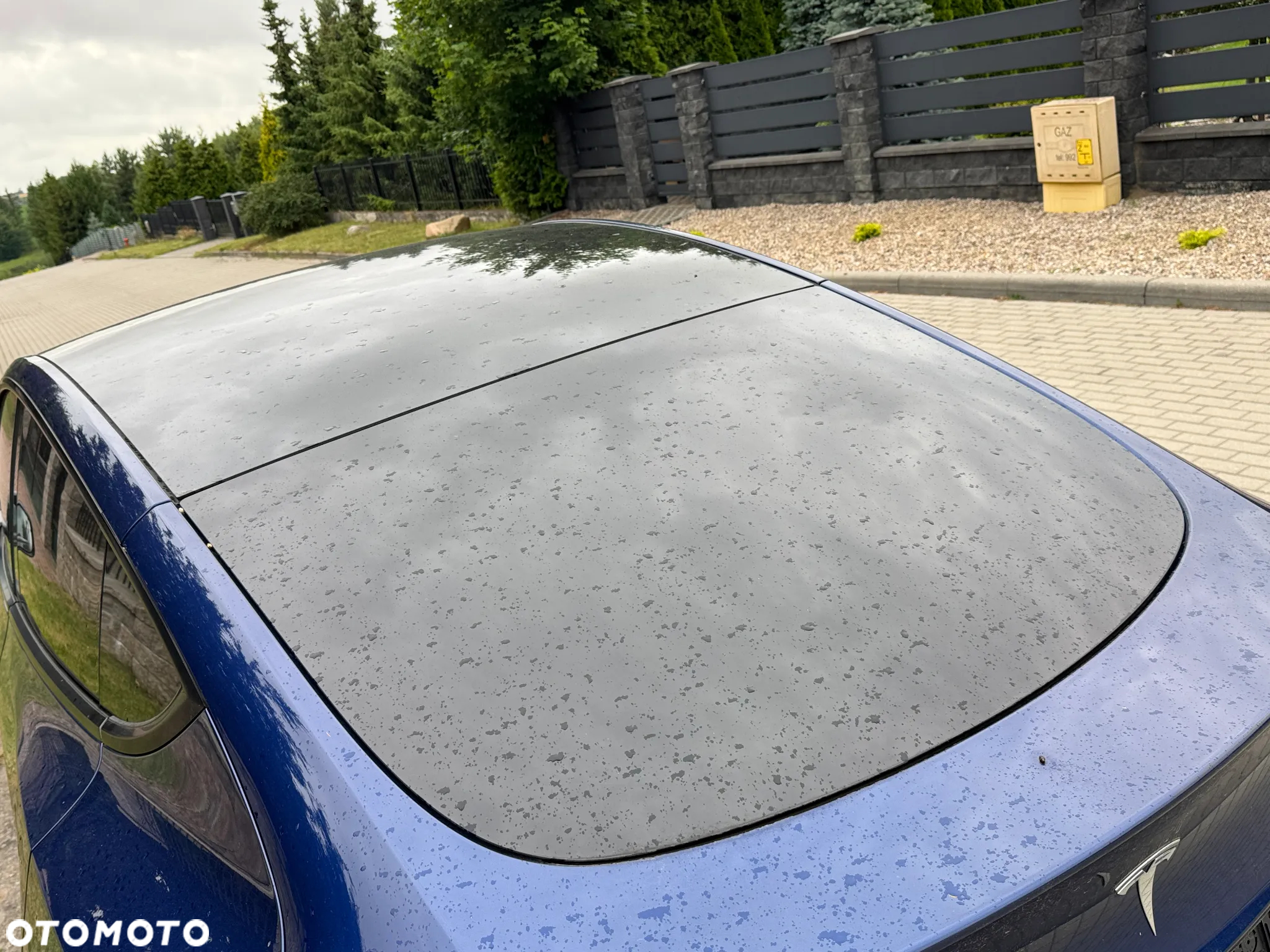 Tesla Y Model RWD - 22