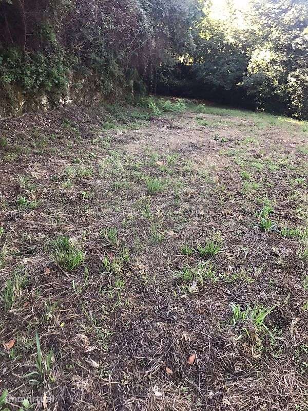 Terreno  para venda - Grande imagem: 3/12