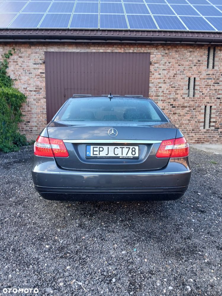 Mercedes-Benz Klasa E 250 CDI DPF BlueEFFICIENCY 7G-TRONIC Elegance - 13