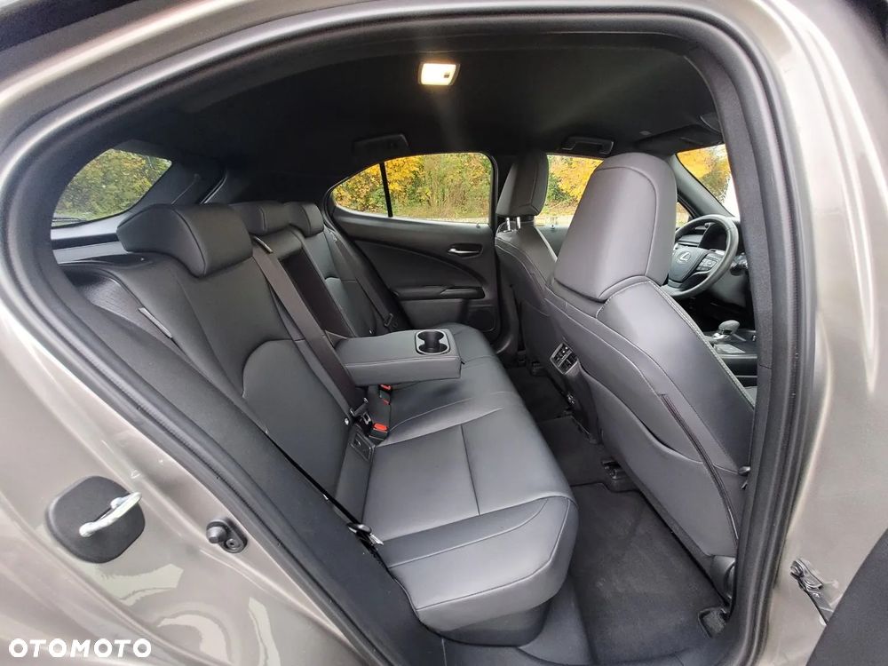 Lexus UX 300h F Sport Design - 16