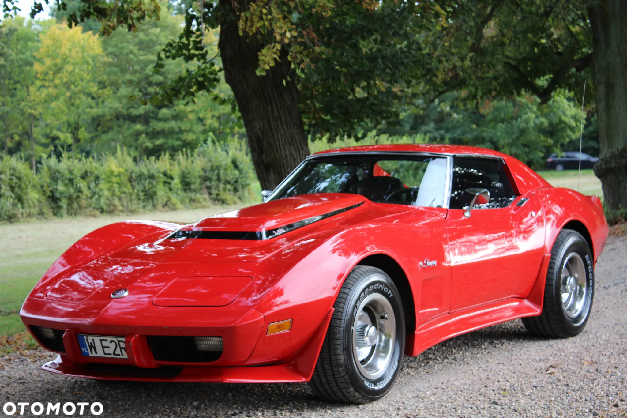 Chevrolet Corvette - 11