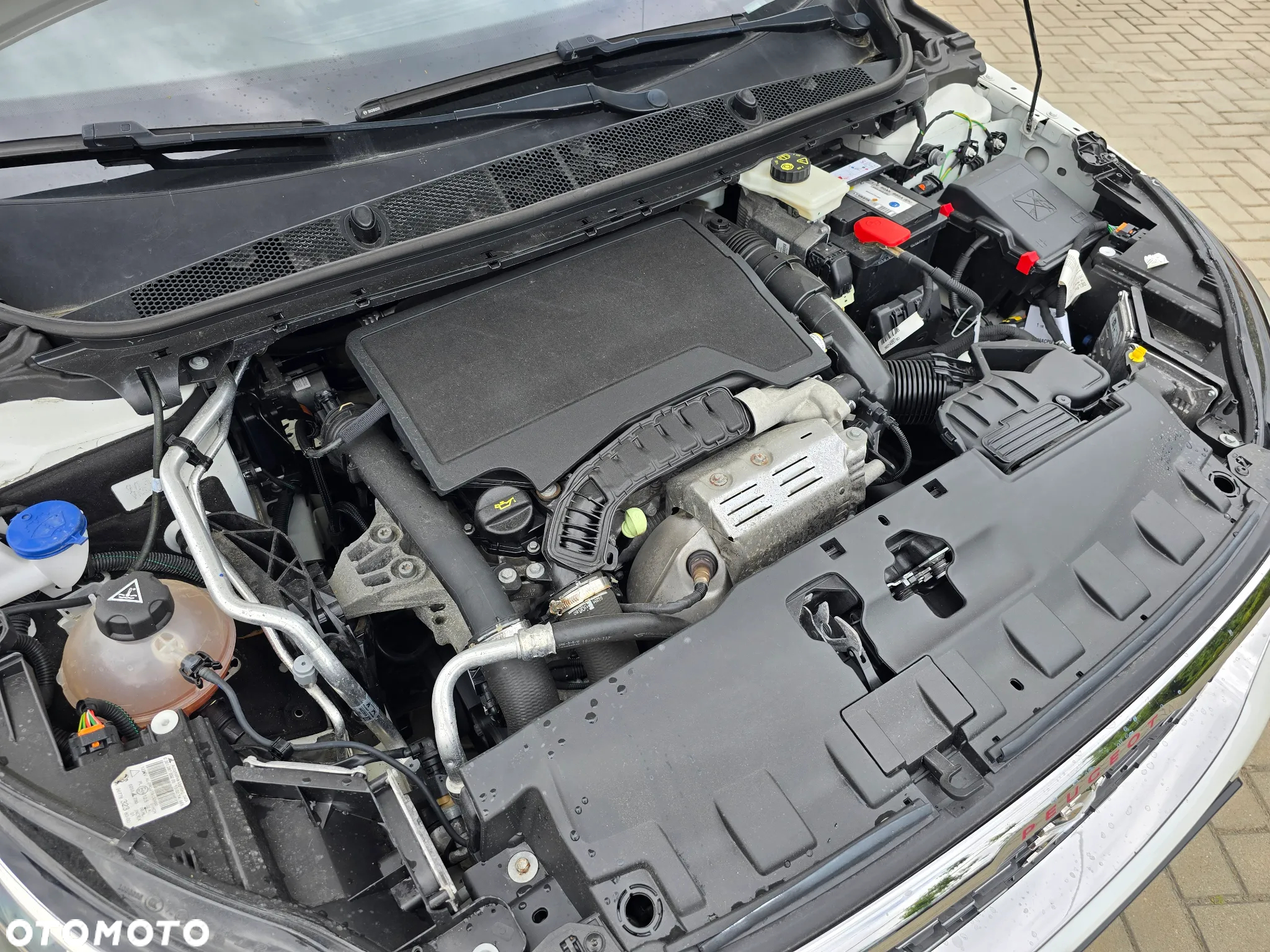 Peugeot 308 - 16