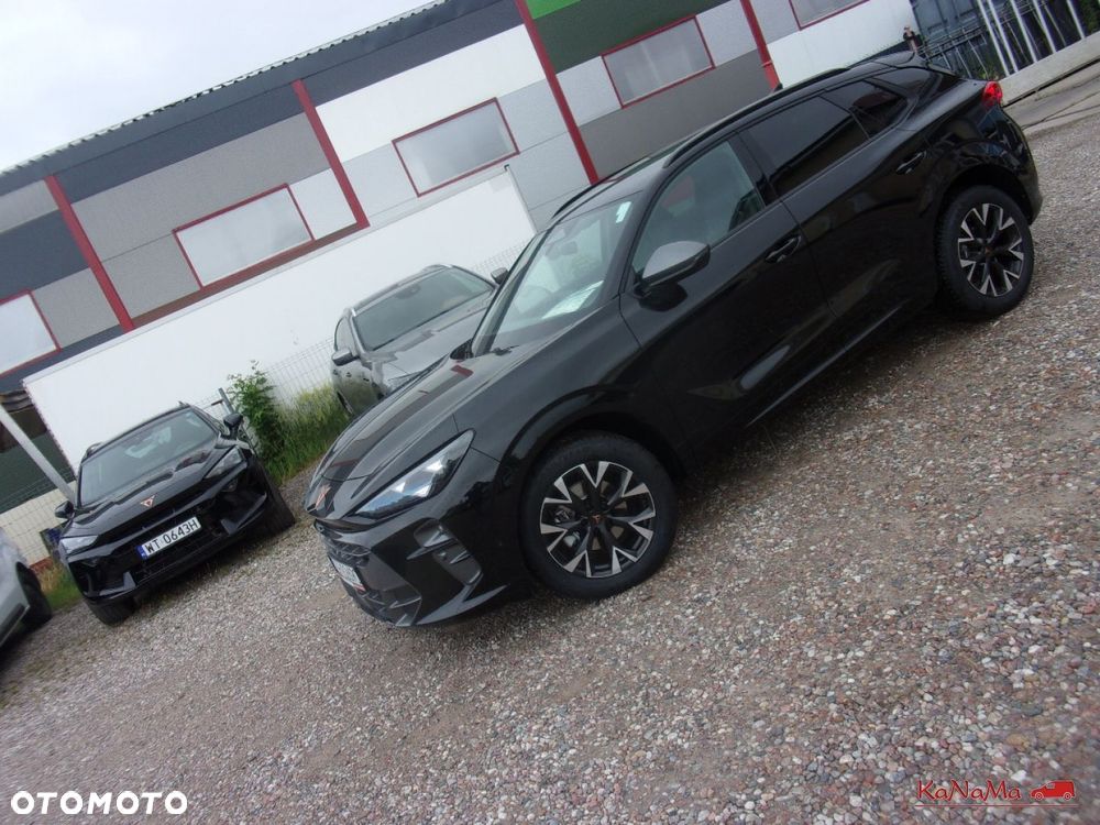 Cupra Terramar - 30