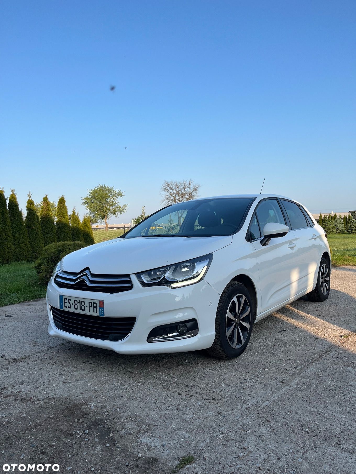 Citroën C4 1.6 BlueHDi Shine S&S - 1