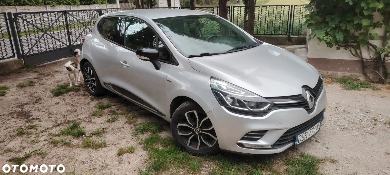 Renault Clio - 1