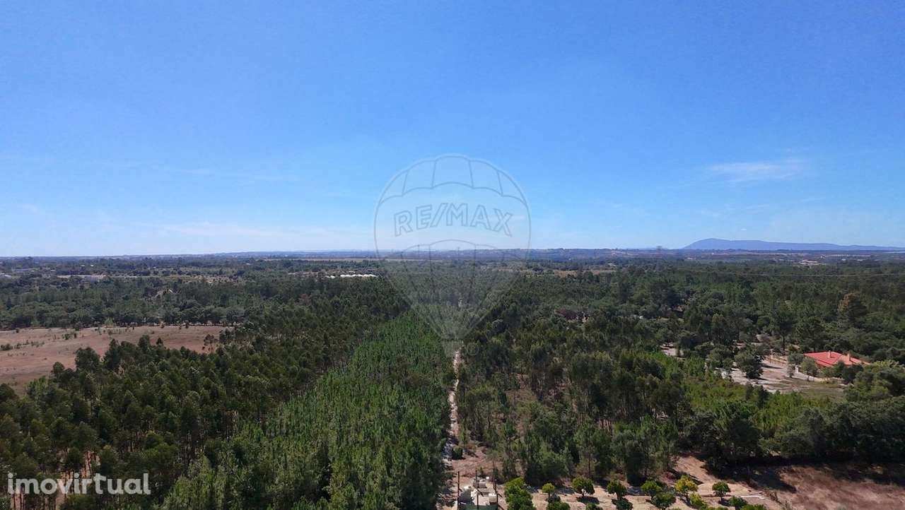 Terreno  para venda - Grande imagem: 3/18