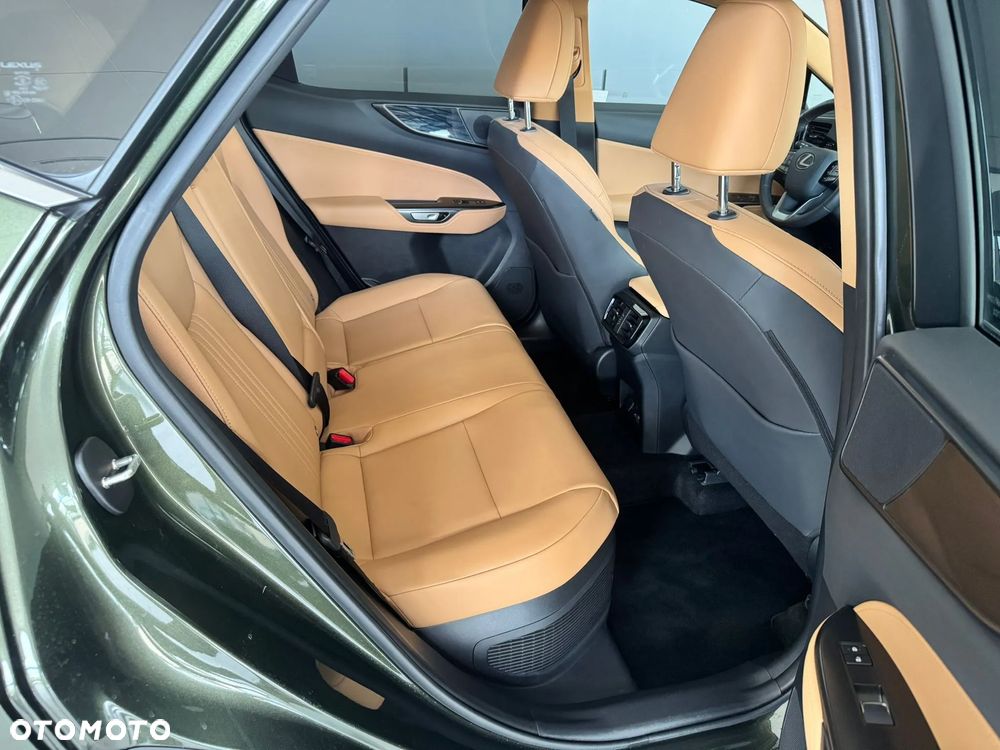 Lexus NX - 23