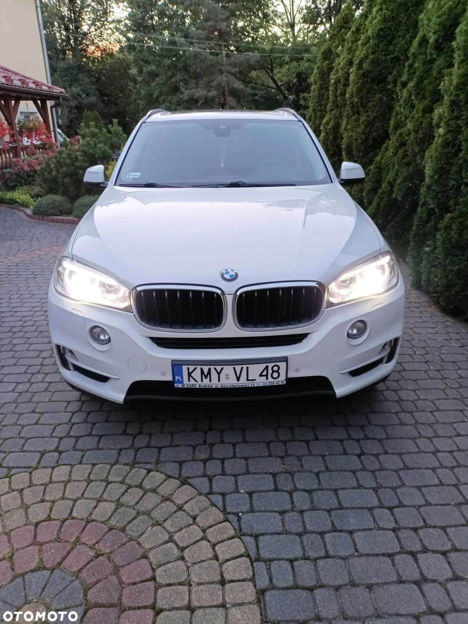 BMW X5 xDrive25d - 8