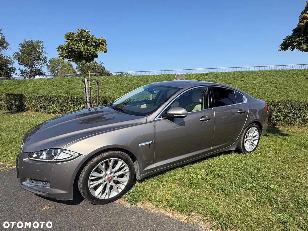 Jaguar XF 3.0 V6 D Luxury - 8