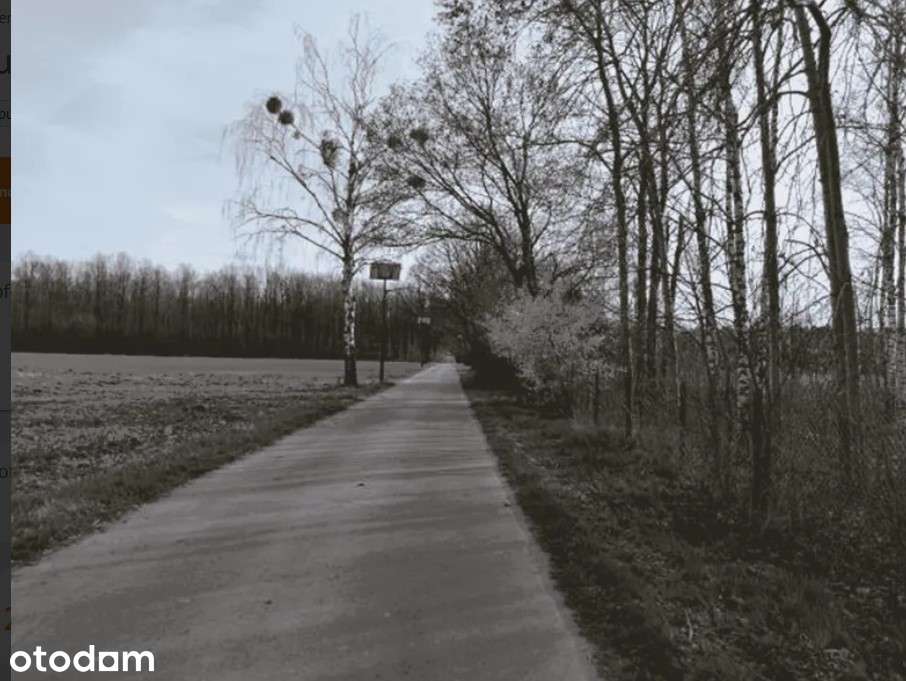 Działka, 10 221 m², Gwoździany