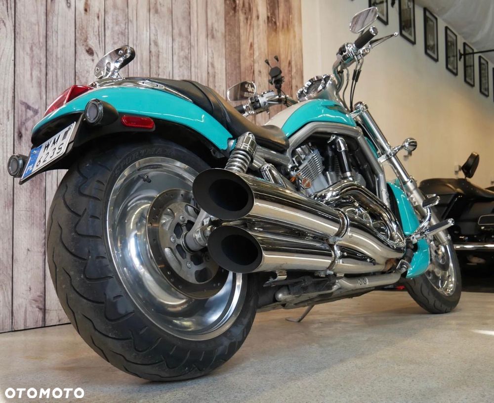 Harley-Davidson Softail V-Rod - 7