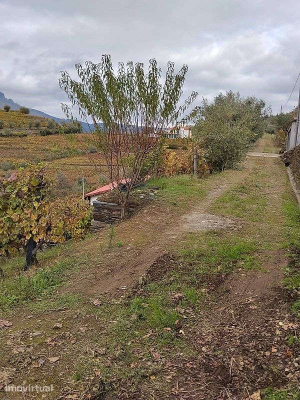Terreno  para venda - Grande imagem: 2/6