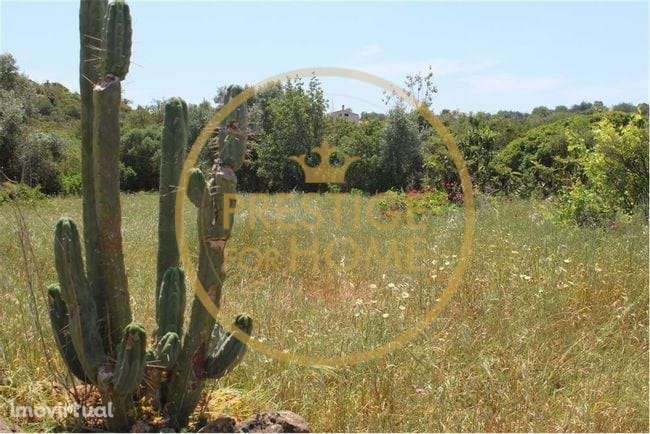 Terreno com 600 m2, situado em Campina (Loulé) - Grande imagem: 4/8