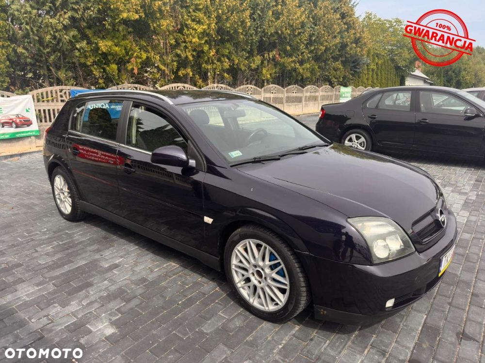 Opel Signum - 15