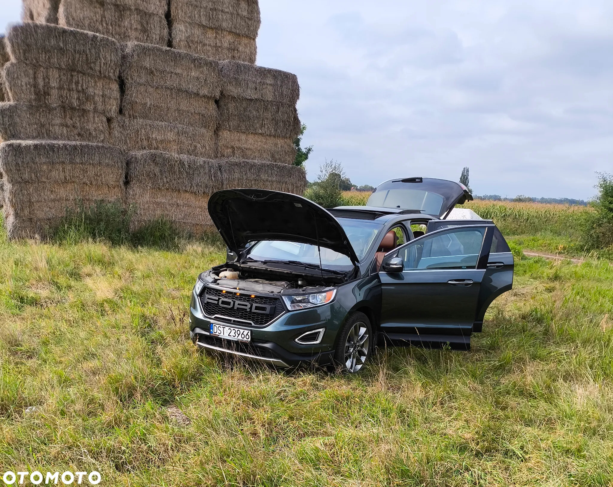 Ford Edge - 16