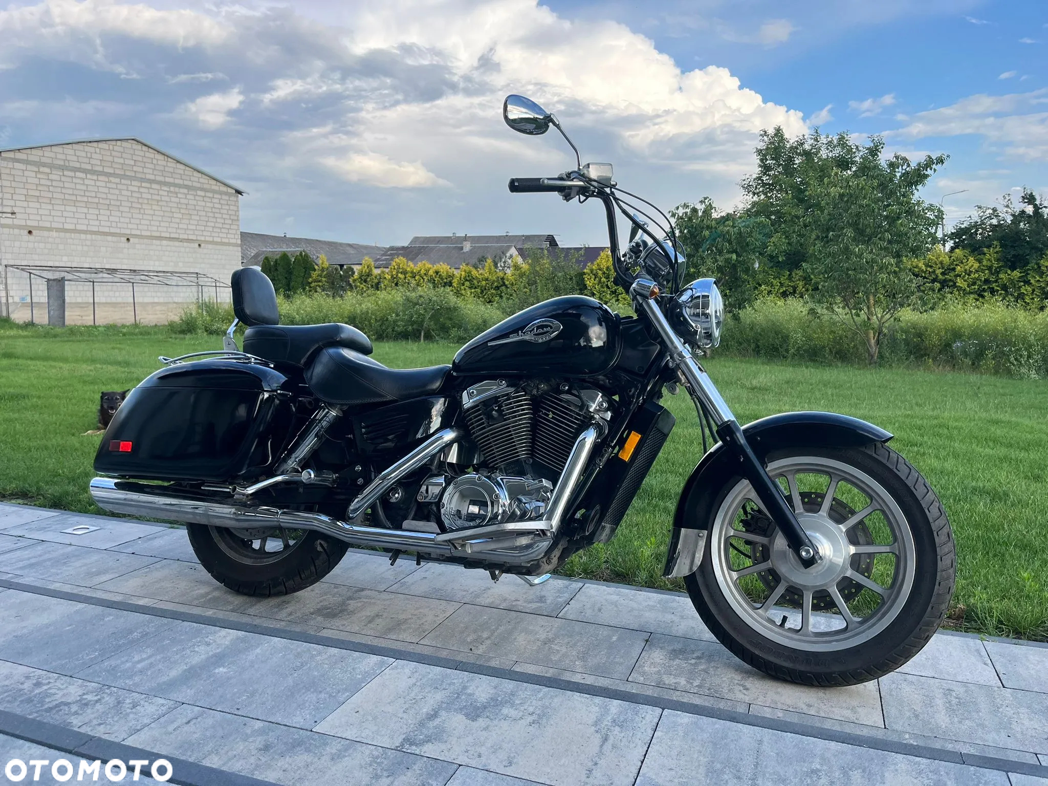 Honda Shadow - 2