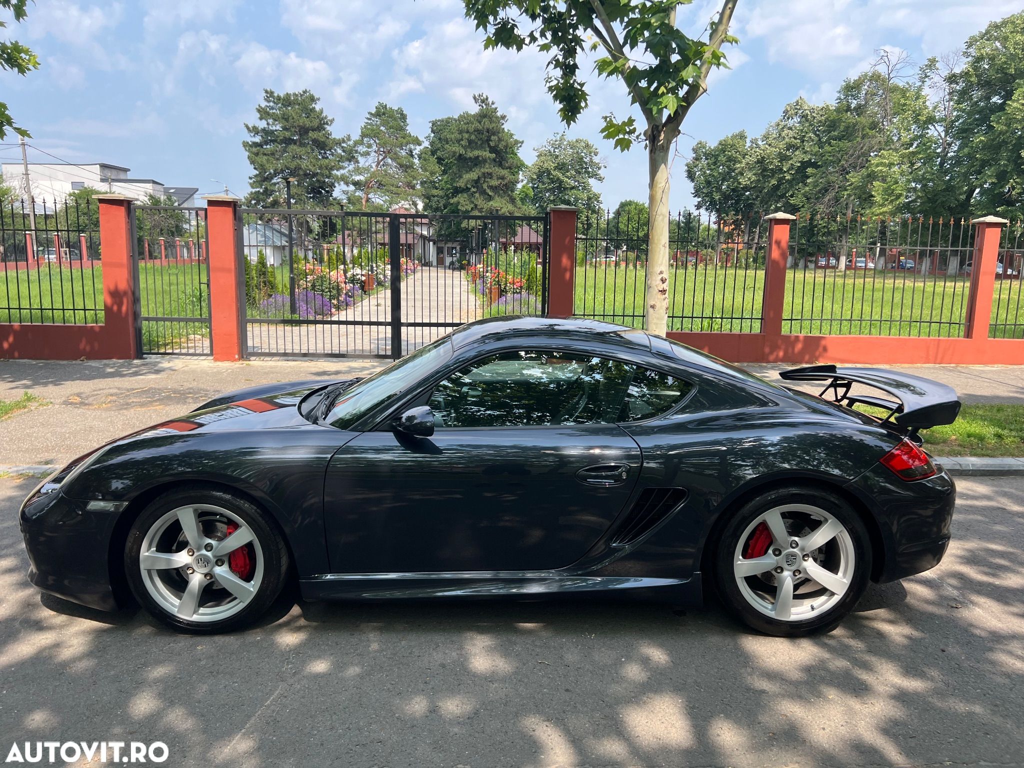 Porsche Cayman Standard - 1