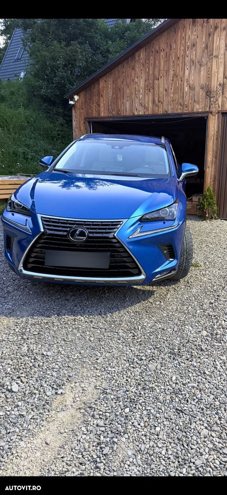 Lexus Seria NX 300h AWD Executive Plus - 27