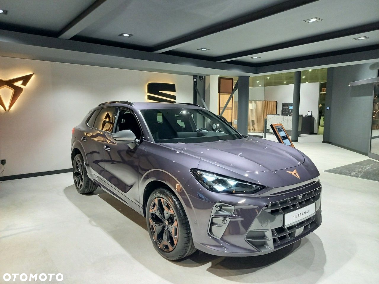Cupra Terramar - 3