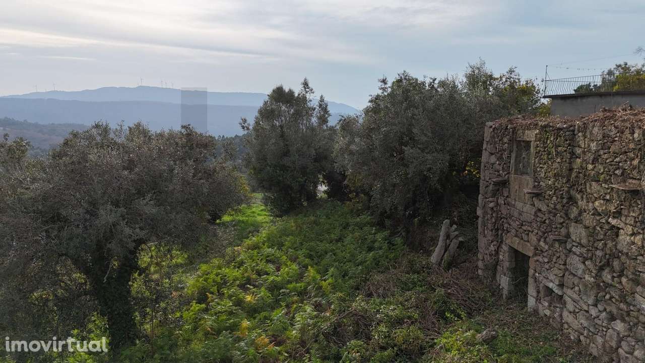 Terreno com Ruínas em Pedra (1840) para Construção – Rio Âncora | Mont - Grande imagem: 4/8