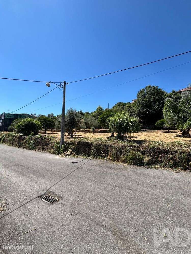 Terreno para construção em Proença-a-Nova e Peral - Grande imagem: 5/10
